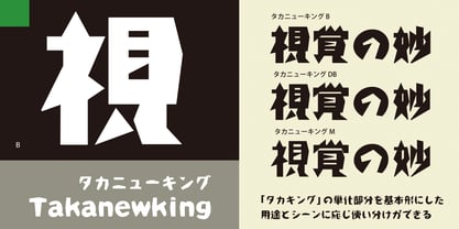 Takanewking Font Poster 2